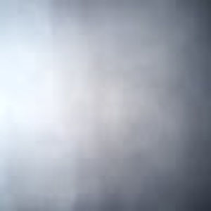 Meet your Posher, Brylee